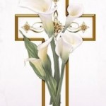 lillie-212x3001 lillie-212x3001